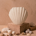 Coquillage